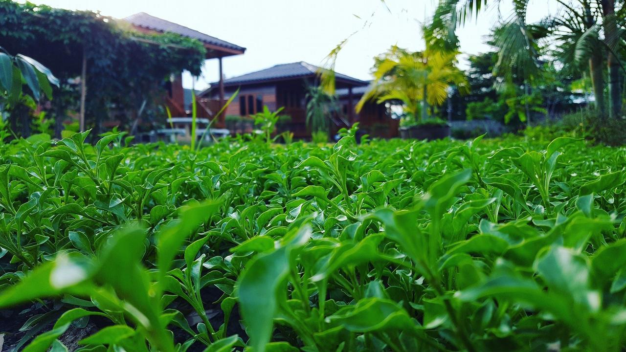 บ้านสวนมีดี ลำพูน Meedee Homestay Lamphun Ban Nong Pla Kho Exterior foto