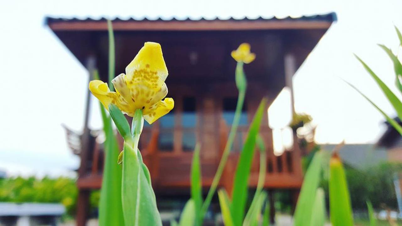 บ้านสวนมีดี ลำพูน Meedee Homestay Lamphun Ban Nong Pla Kho Exterior foto