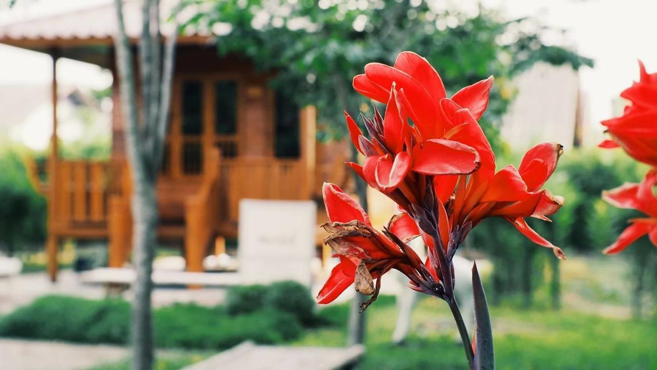 บ้านสวนมีดี ลำพูน Meedee Homestay Lamphun Ban Nong Pla Kho Exterior foto